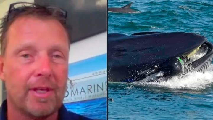 Man who was 'swallowed' whole by whale says he only realised what had happened once it went dark