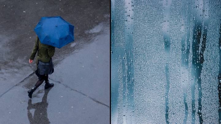 Scientists say some people have the ability to smell when rain is coming