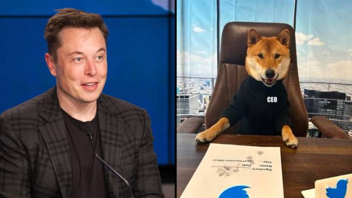 Elon Musk says he has appointed his dog as the CEO of Twitter