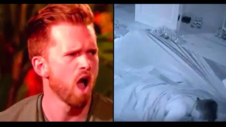 Man says he went to therapy after watching his girlfriend cheat on him in bizarre TV show