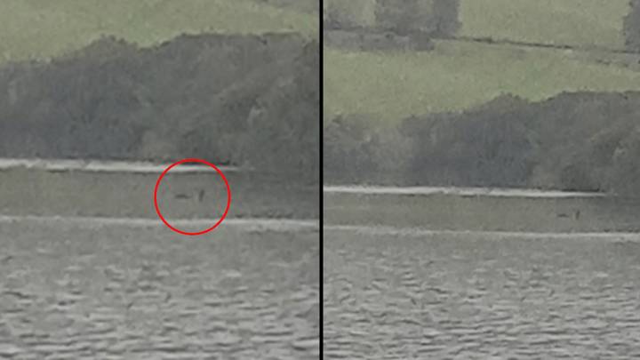 Man captures 'clearest evidence yet' of the Loch Ness Monster