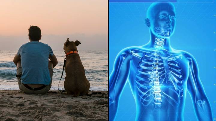 Incurable disease that can jump from dogs to humans spreading in Britain for first time