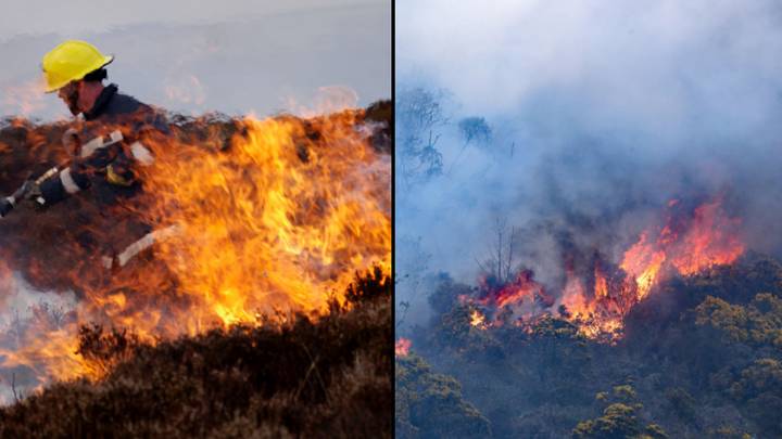 Met Office raises risk of wildfire in the UK to ‘very high’ as heatwave continues