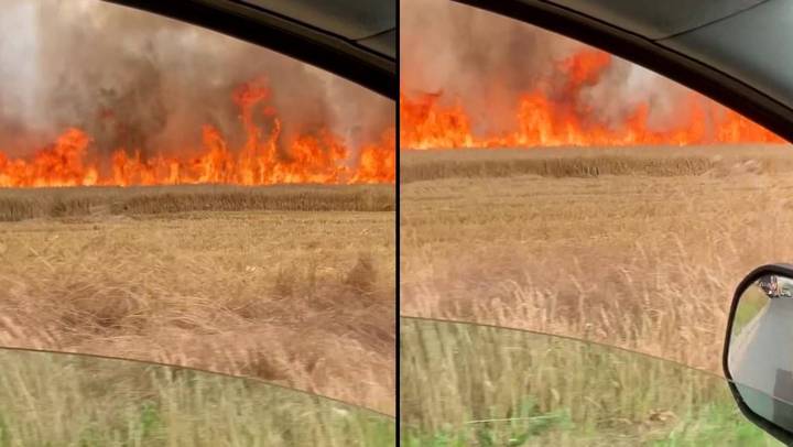 Gardeners Drive Through Apocalypse-Like Raging Inferno In UK Fields