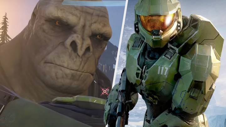 Wait, Are ‘Halo Infinite’ Bots Teabagging Players?