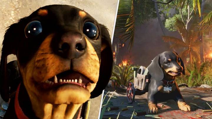 'Far Cry 6' Sausage Dog Companion Chorizo Has Completely Won Over The Internet