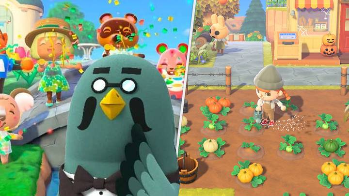 ‘Animal Crossing: New Horizons’ Announces Biggest Update Since Launch