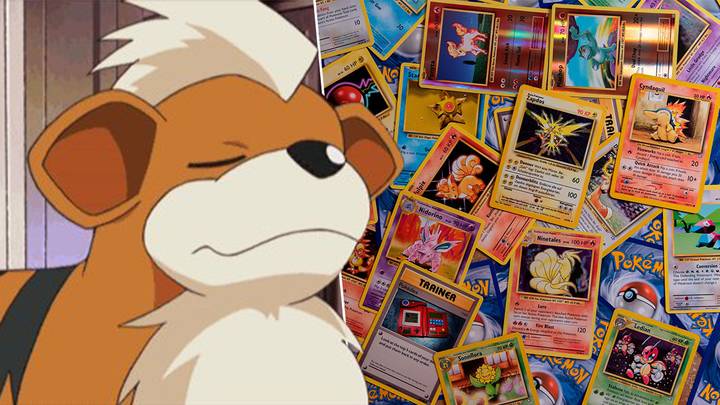 Young Pokémon Fan Sells Card Collection To Save Puppy's Life