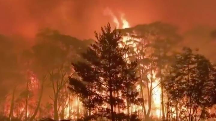NSW Bushfires Have Burned Through Three Times More Land Than The Amazon Fires