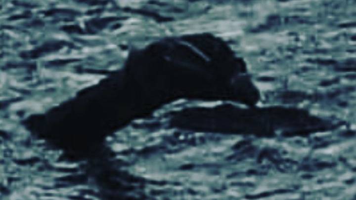 'Loch Ness Monster With Four Foot Neck Pictured' By British Historian