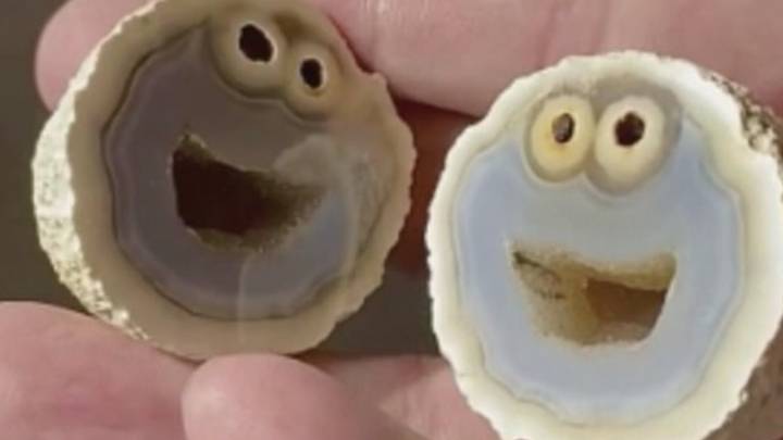Geologist Finds Rare Formation Inside Rock That Looks Exactly Like The Cookie Monster