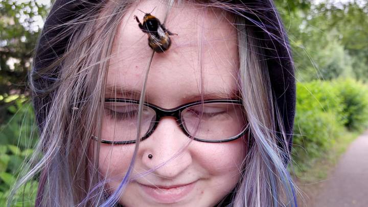 Teenager Who Rescued Bumblebee Adopts It As Her Pet After It Refused To Leave Her Side