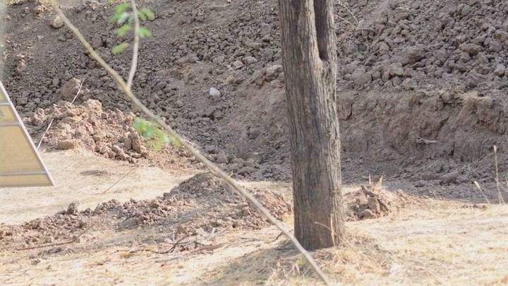 The Viral Picture Of Leopard Hiding In Ditch Which Baffled The Internet