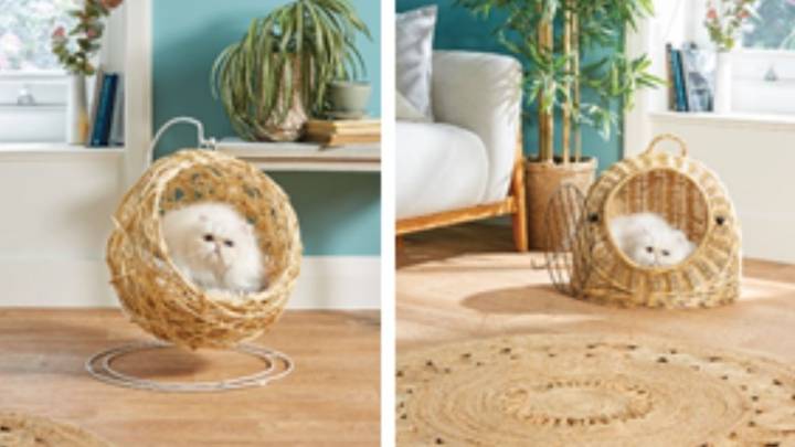 Aldi Is Now Selling Hanging Egg Chairs For Cats