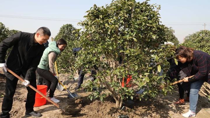 Study Says Tree Planting Has 'Mind Blowing’ Potential To Tackle Climate Change