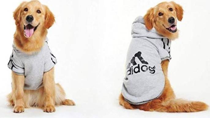 Amazon Is Selling Adidas Inspired Outfits For Your Dog LADbible