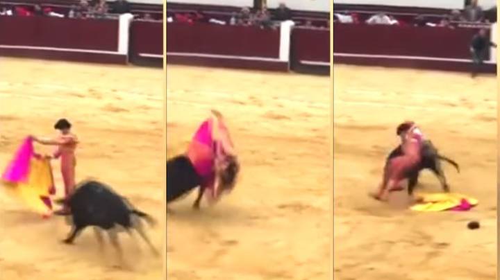 Vexed Bull Takes Matador Downtown Weeks After He Said Animals 'Have No Rights'