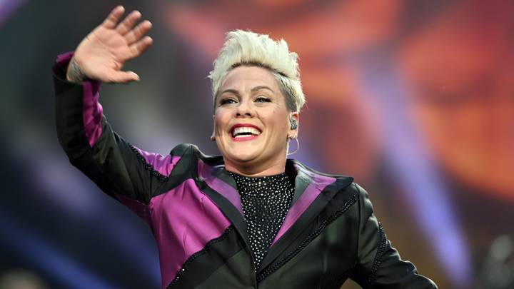 Pink Says Robin Williams Improvised Stand Up For Her When She Lost At ...
