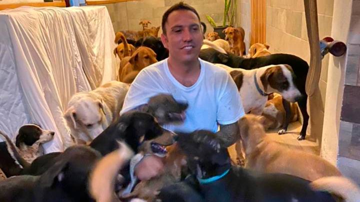 Man Shelters 300 Dogs In His Home From Hurricane In Mexico