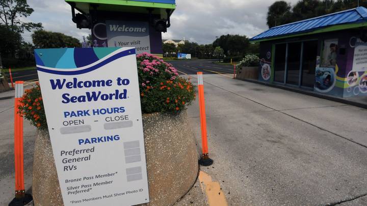 TripAdvisor To Stop Selling Tickets And Packages To SeaWorld And Other Companies