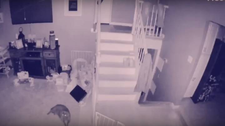 Man Catches Ghost Child And Its Pet On CCTV Footage