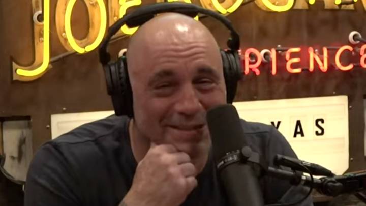 Joe Rogan Doesn't Think Men Should Take Paternity Leave Because They Didn't Give Birth