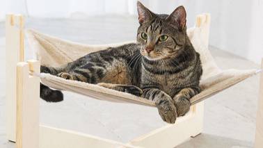 Lidl cat bed deals