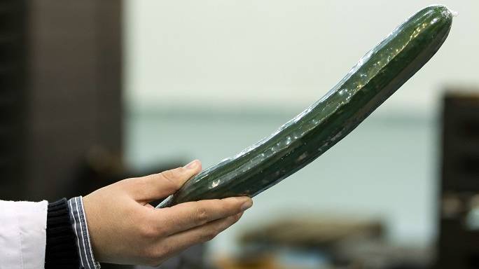 Women Advised Not To Use Cucumbers To Clean Their Vaginas