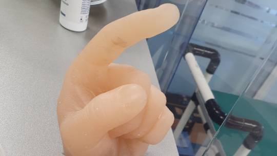 Guy Brings Silicone Finger On A Stick To Office He Has To Visit During Lockdown
