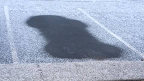 Woman Fined After Her Car Left A Penis Imprint In The Snow