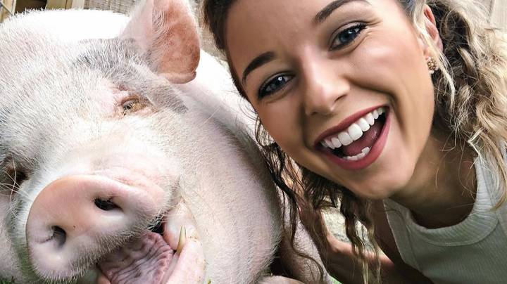 YouTuber Says Her 80kg Pet Pig Is 'Like A Son' To Her