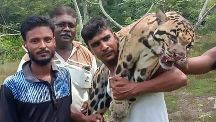 ​Suspected Poachers Pose With Corpse Of Rare Clouded Leopard