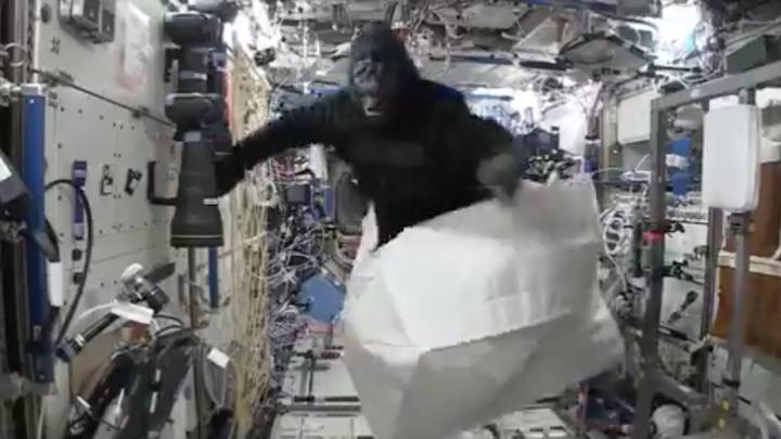 Astronaut Scott Kelly Once Brought A Gorilla Suit Onto The International Space Station