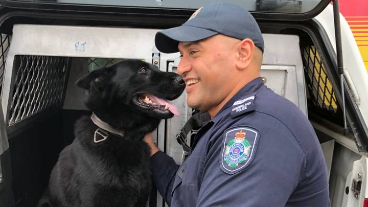 Beautiful Moment Police Dog Named Bravo Was Reunited With Owner After Going Missing