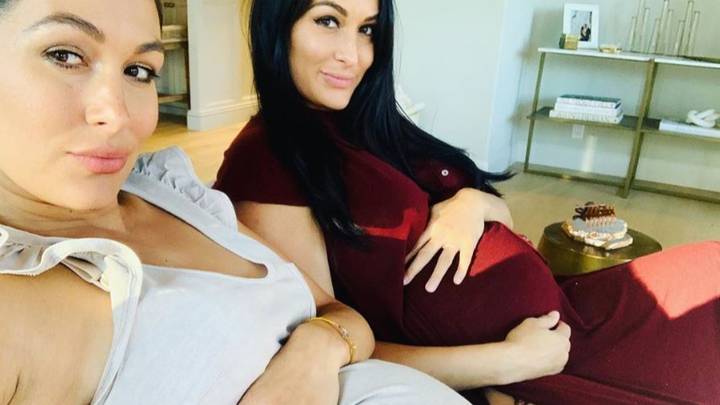 Twins Nikki And Brie Bella Give Birth One Day Apart