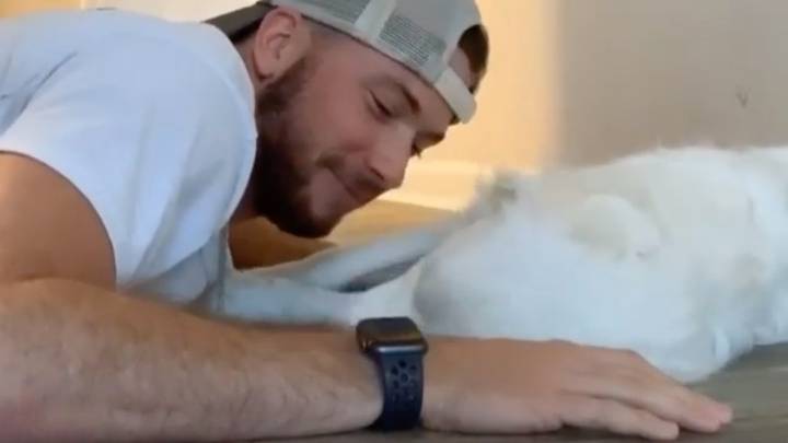 Owner Shares Adorable Way He Wakes Up His Deaf And Blind Dog