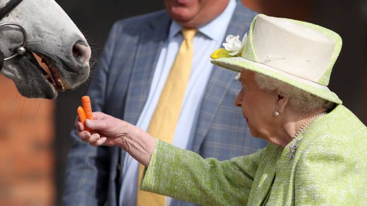 The Queen Is Looking For Someone To Help Look After Her Horses 