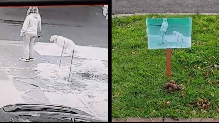 ​Man Uses CCTV To Shame Owners Who Left Dog Poo In Front Of His House
