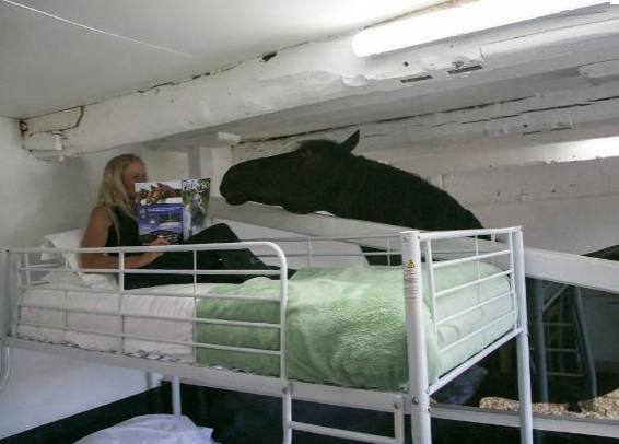 Farm Lets Guests Spend A Night With A Horse