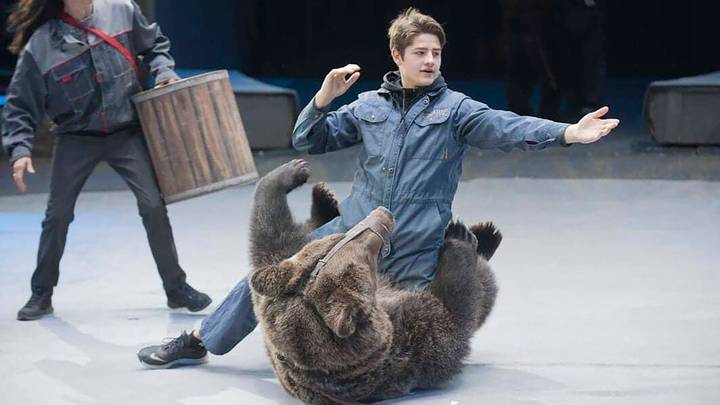 Circus Trainer Killed By Bear After He 'Forgot To Take Off' Coronavirus Mask