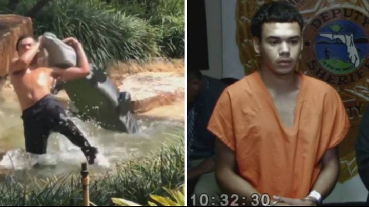 Florida Teenager Arrested For Performing RKO On Fake Alligator