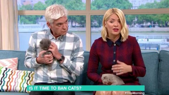 Holly Willoughby Horrified By Guest Calling For UK Cat Ban