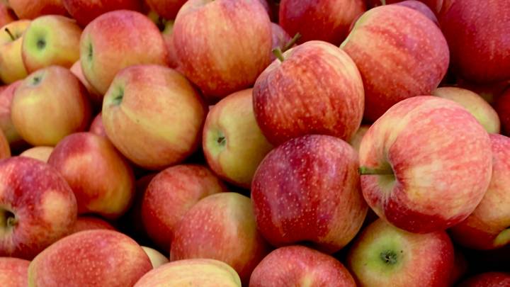 Nurse Fined £150 For Fly-tipping After Giving Away Free Apples