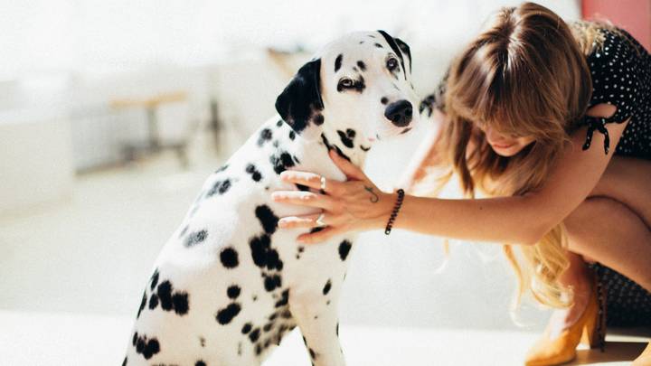 Research Suggests We Mourn Dogs In The Same Way We Do Humans