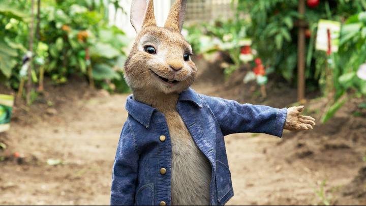 ‘Peter Rabbit’ Is Dropping On Netflix So That’s Our Weekend Sorted 