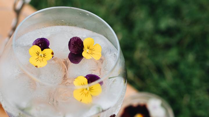 Marks & Spencer Is Selling Edible Flowers To Spruce Up Food And