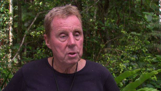 ​‘I'm A Celebrity's’ Harry Redknapp Is Donating Jam Roly Polys To The Homeless