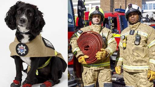 London Fire Brigade’s Dogs Have Their Own Uniform And It's Adorable