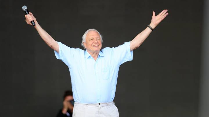 Sir David Attenborough Appeared At Glastonbury To Praise Plastic Ban