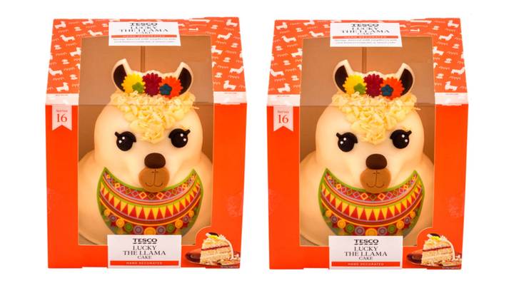 Sloth 2025 slippers tesco